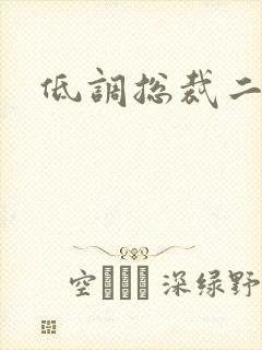 低调总裁二手妻