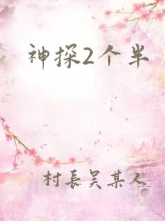 神探2个半