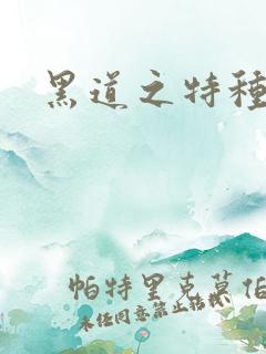 黑道之特种兵王