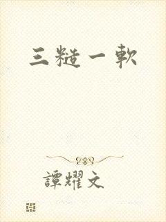 三糙一软