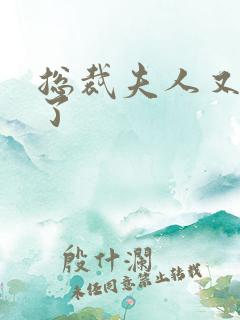 总裁夫人又征婚了