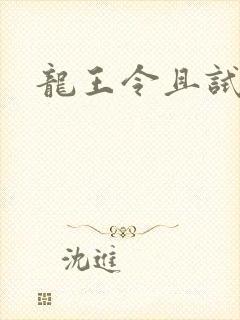 龙王令且试天下