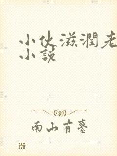小伙滋润老女人小说