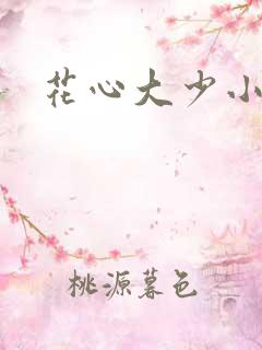 花心大少小说