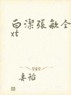 白洁张敏全集txt