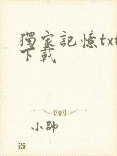 独家记忆txt下载