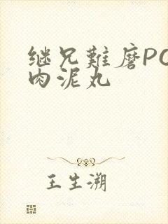 继兄难磨PO猪肉泥丸