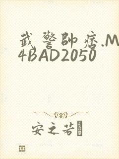 武警帅痞.MP4BAD2050