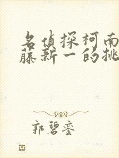 名侦探柯南给工藤新一的挑战书