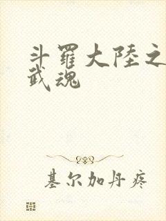 斗罗大陆之三生武魂