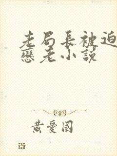 老局长被迫为奴恋老小说