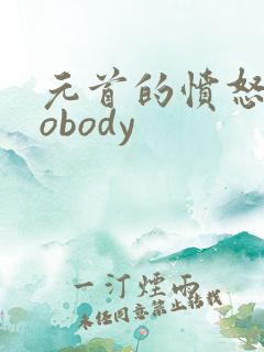 元首的愤怒之nobody