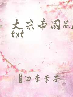 大宋帝国风云录txt