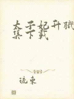 太子妃升职记全集下载