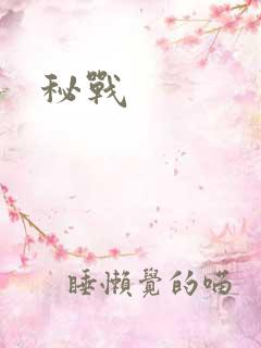 秘战