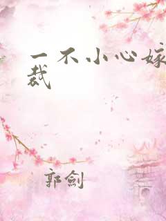 一不小心嫁给总裁