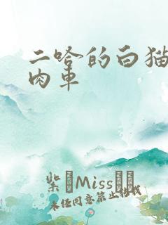 二哈的白猫师尊肉车