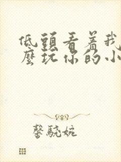 低头看着我是怎么玩你的小说