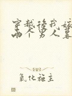 穿越后我嫁给了两个男人暮色酒歌