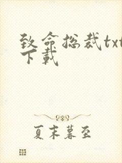 致命总裁txt下载