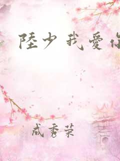 陆少 我爱你