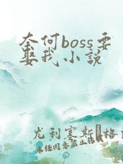 奈何boss要娶我小说