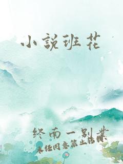 小说班花