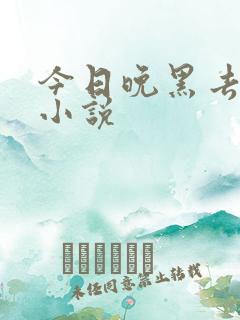 今日晚黑去见你小说