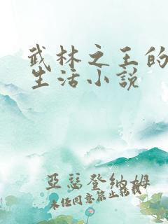 武林之王的退隐生活小说