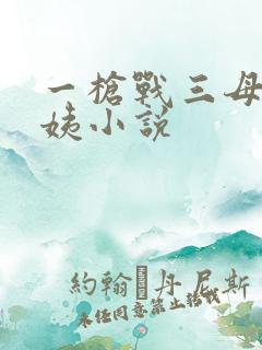 一枪战三母2雪姨小说