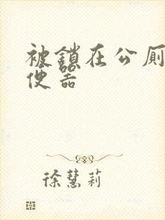 被锁在公厕当坐便器