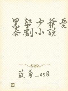 黑帮少爷爱上我泰剧小说