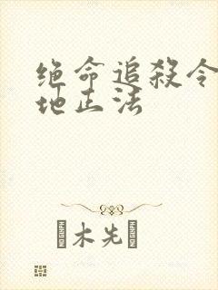 绝命追杀令2就地正法