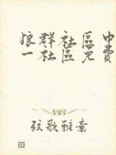 狼群社区中文第一社区免费