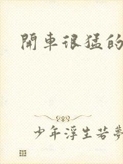 开车很猛的古文