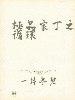 极品家丁之因果循环