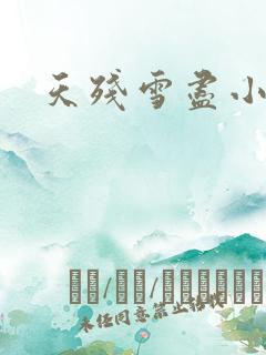 天残雪尽小说
