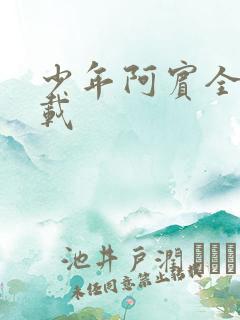 少年阿宾全集下载