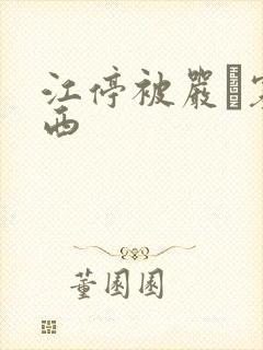 江停被严峫塞东西