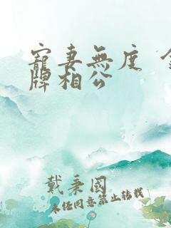 宠妻无度  金牌相公