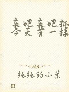 来吧来吧抓紧点今天有一样好东西