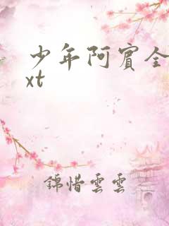 少年阿宾全集txt