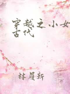 穿越之小女子闹古代