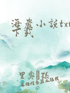 海岩小说txt下载