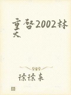 重启2002林天