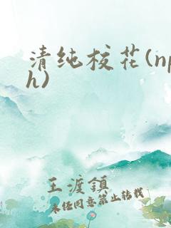 清纯校花(nph)