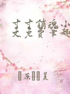 寸寸销魂小说全文免费笔趣阁