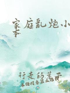 家庭乱炮小说全本