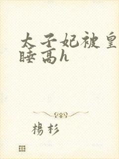 太子妃被皇上强睡高h