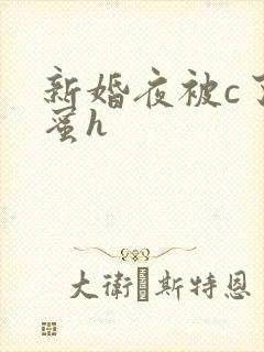 新婚夜被c了闺蜜h